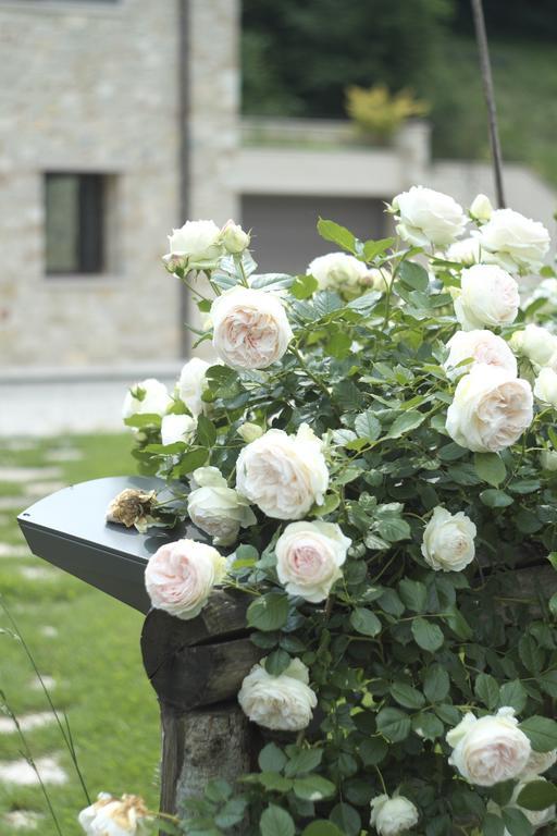 Agriturismo Casamela Paderno del Grappa Dış mekan fotoğraf